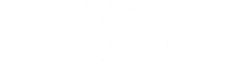 logo digcom child white